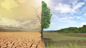 Schimbările climatice. Amplu protest în Elveția pentru măsuri mai dure