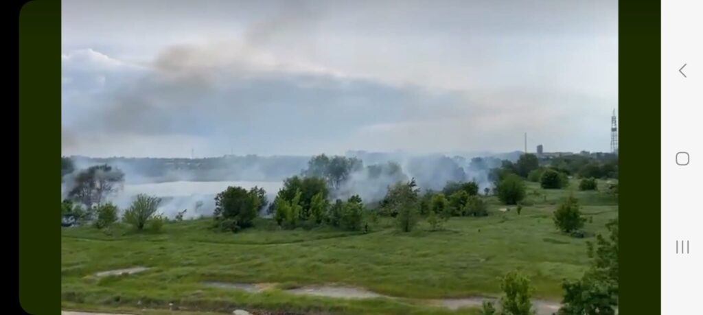 Incendiu în Delta Văcărești din Capitală. 5 autospeciale au intervenit pentru stingerea focului