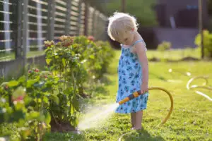 Informație pentru cei care au casă la curte! Toată lumea trebuie să facă asta