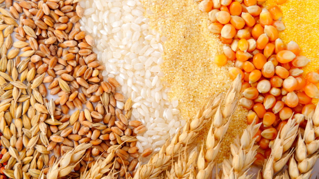 Florin Barbu cere prelungirea restricțiilor privind importurile de cereale din Ucraina