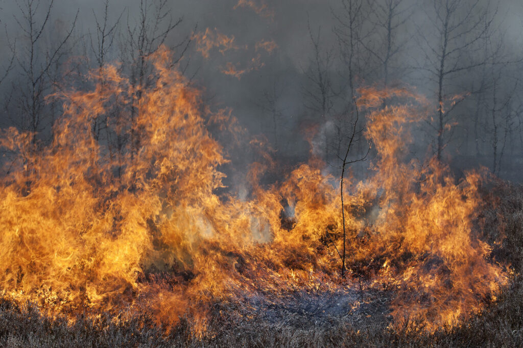 UE a luat măsuri pentru a stinge incendiile din Grecia. Sute de pompieri au fost deja trimiși acolo