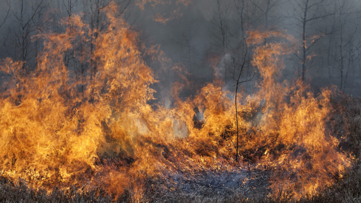 Arde pământul în România. Incendii de vegetație în mai multe părți ale țării