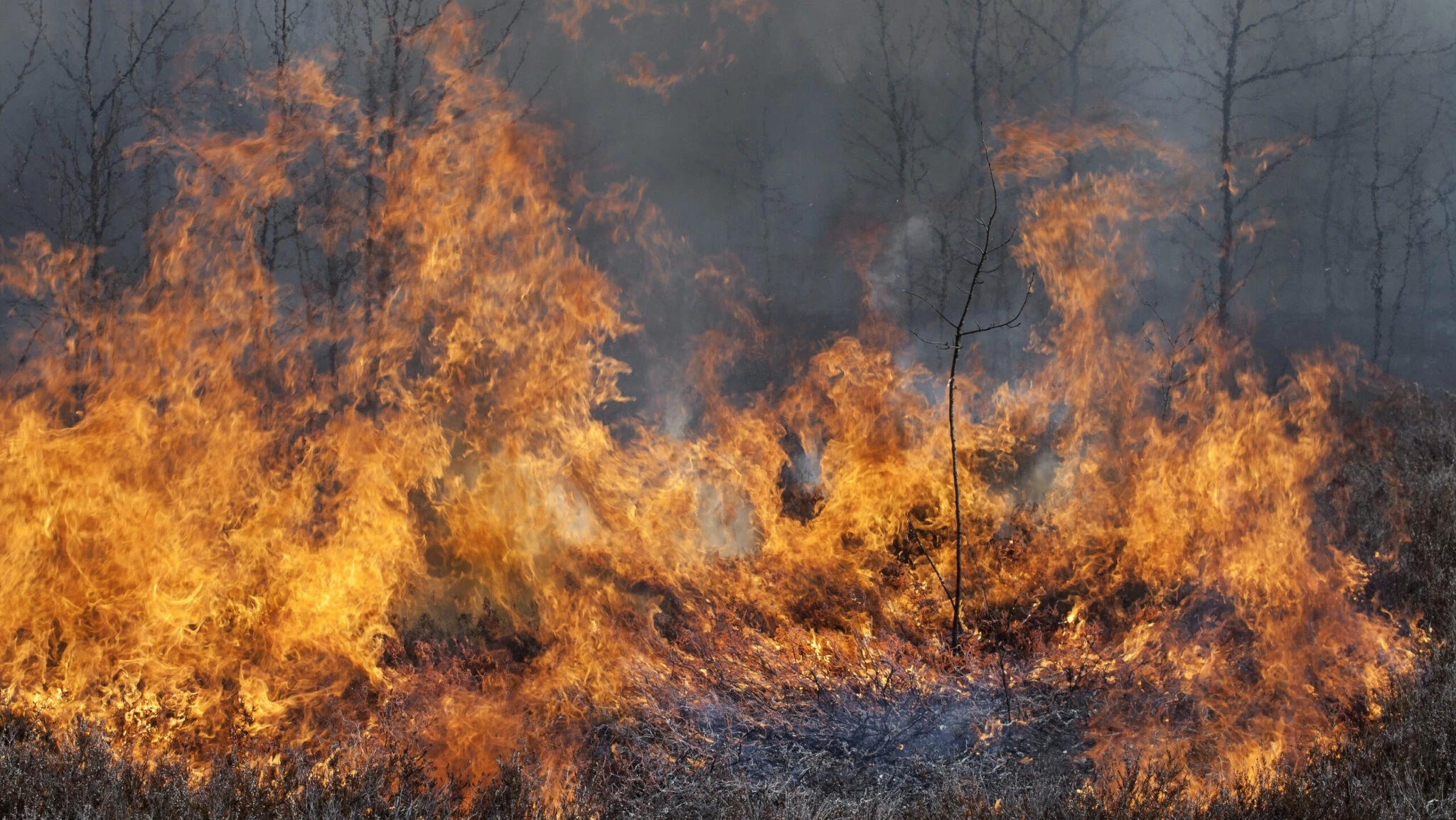 Arde România. Incendii de vegetație în mai multe părți ale țării