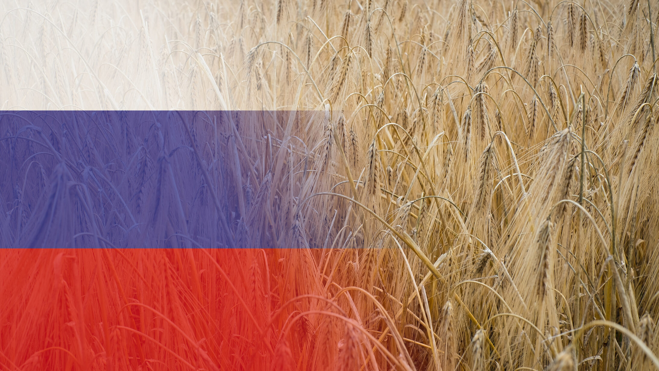 Rusia acord cereale