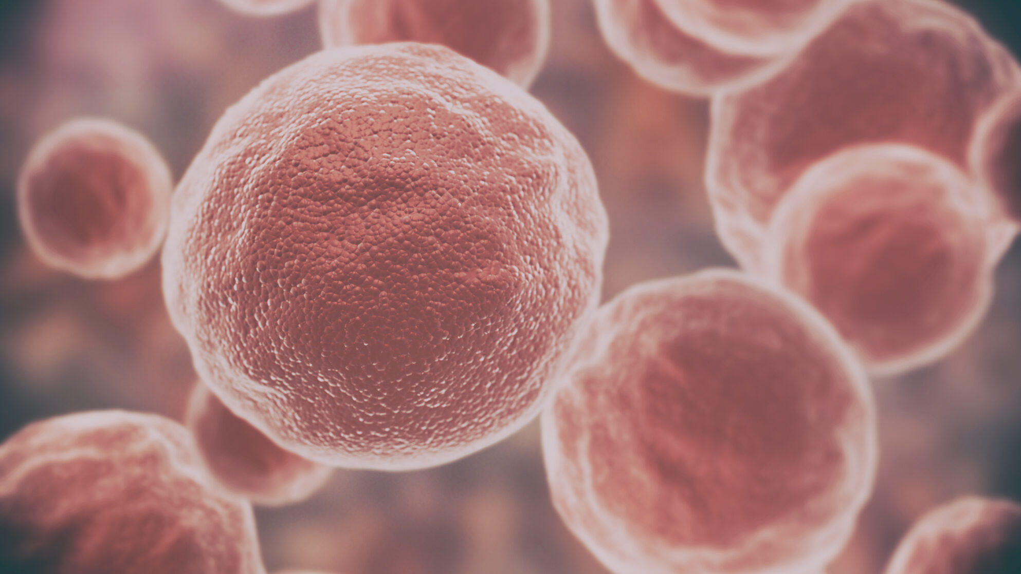 FDA a aprobat Keytruda! Tratează zece tipuri de cancer