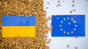 cereale Ucraina, Uniunea Europeană