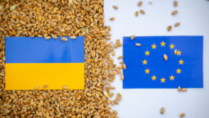 cereale Ucraina, Uniunea Europeană