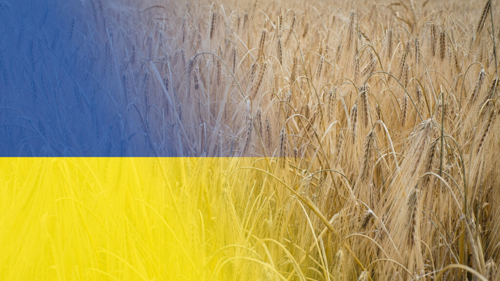 Ministrul Agriculturii va încerca dublarea tranzitului de cereale din Ucraina prin brațul Sulina