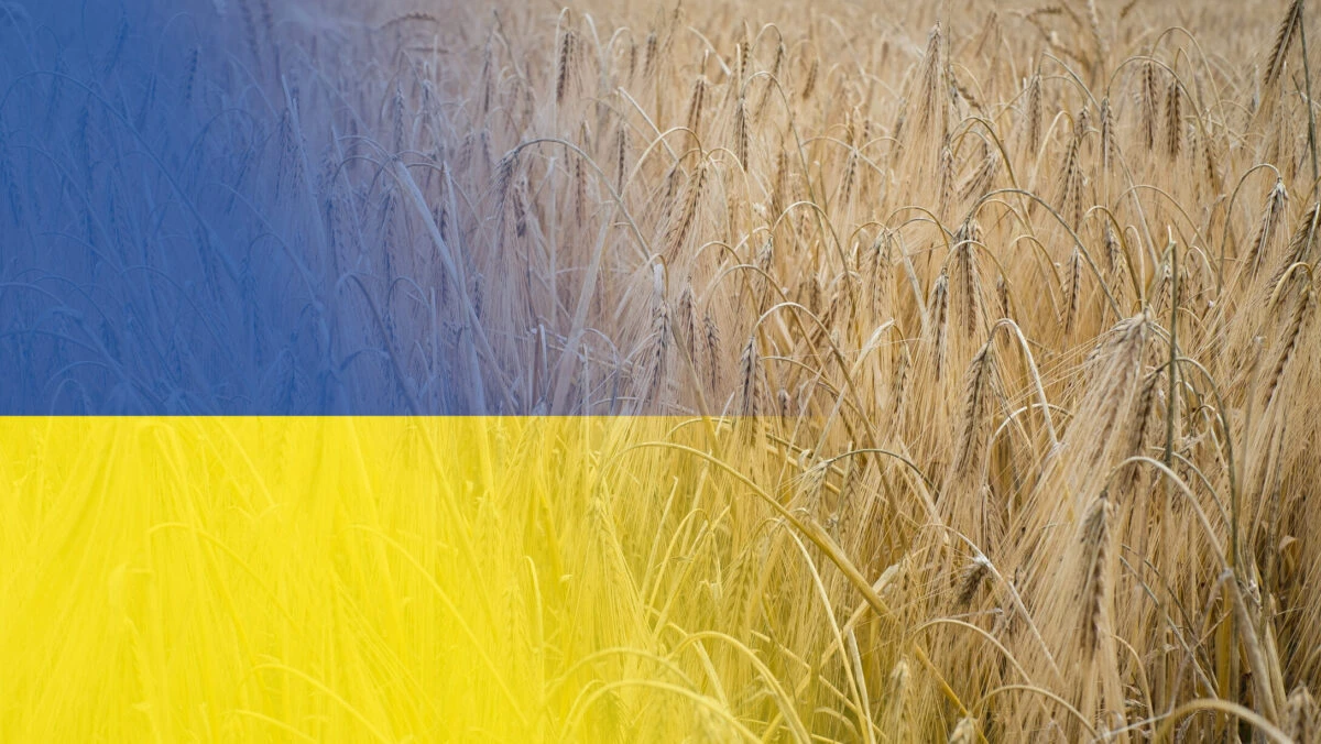 Florin Barbu dorește prelungirea interdicției importurilor de cereale ucrainene: Vom lua cele mai bune măsuri