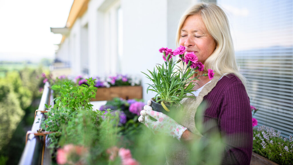 Aceste plante parfumate îți vor face casa să miroasă ca o grădină