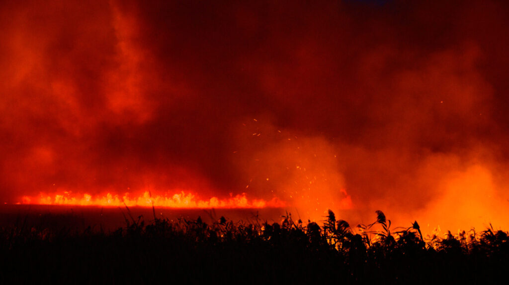 Risc ridicat de incendii de vegetaţie în Grecia, în continuare! Este afectată și insula Thassos