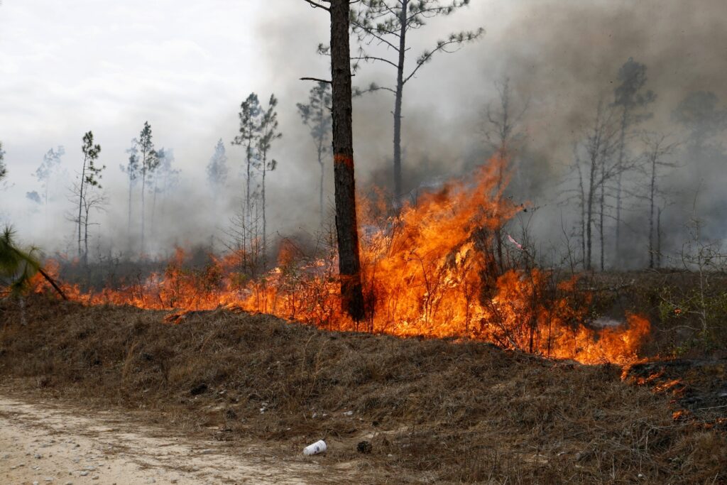 Aproape 20 de hectare de vegetație au luat foc, azi, 15 august. Pompierii militari au intervenit de urgență