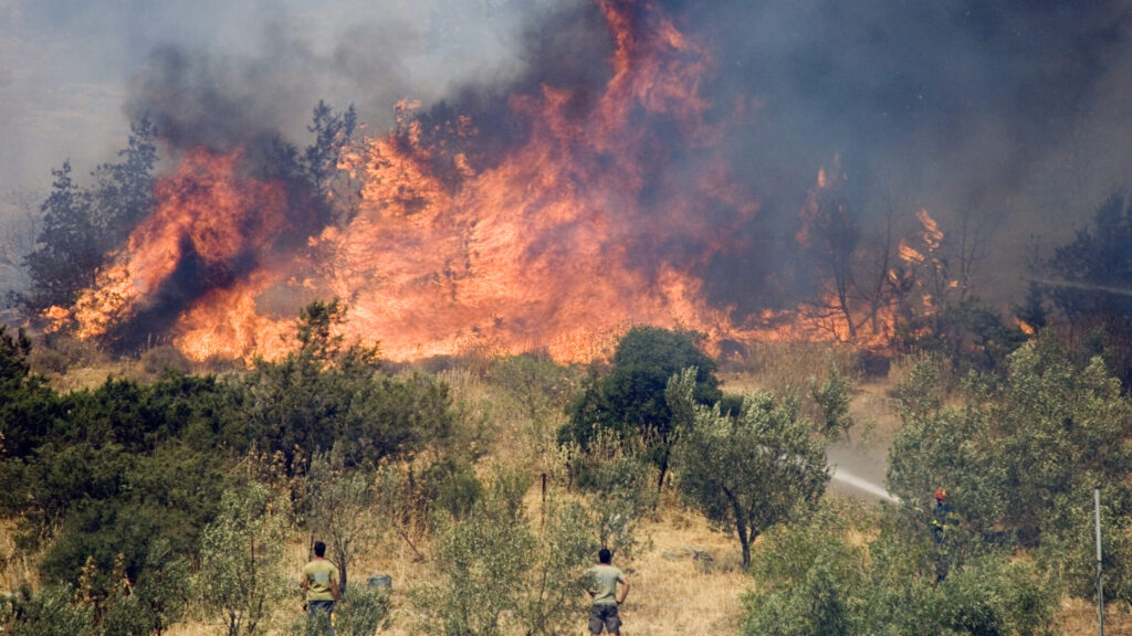 Grecia arde în continuare. Pompierii se luptă cu peste 500 de incendii de vegetaţie
