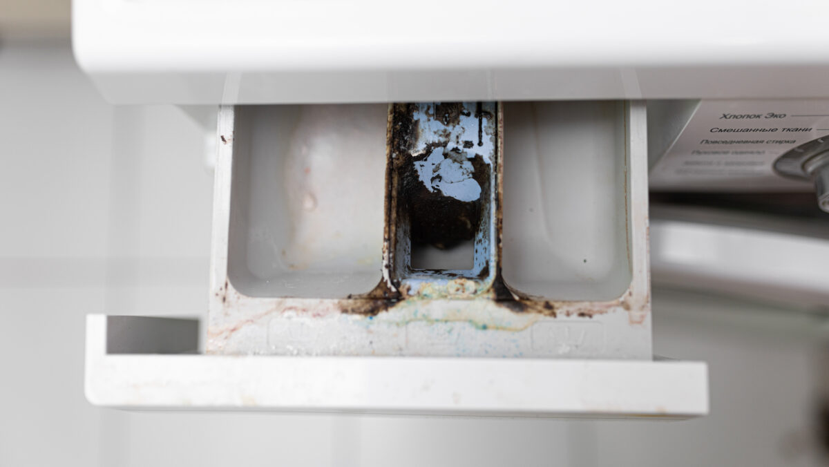 Cum poți scăpa rapid de mucegaiul din mașina de spălat. Este cel mai eficient truc
