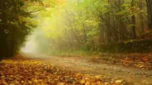 Prognoza meteo ANM, 11 octombrie. Vreme tot mai caldă în România. Vin şi ploile