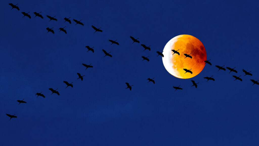 Eclipsă de lună! La ce oră va putea fi văzută în România