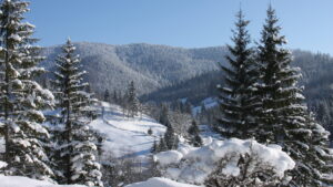 iarna zapada vremea meteo ninsori