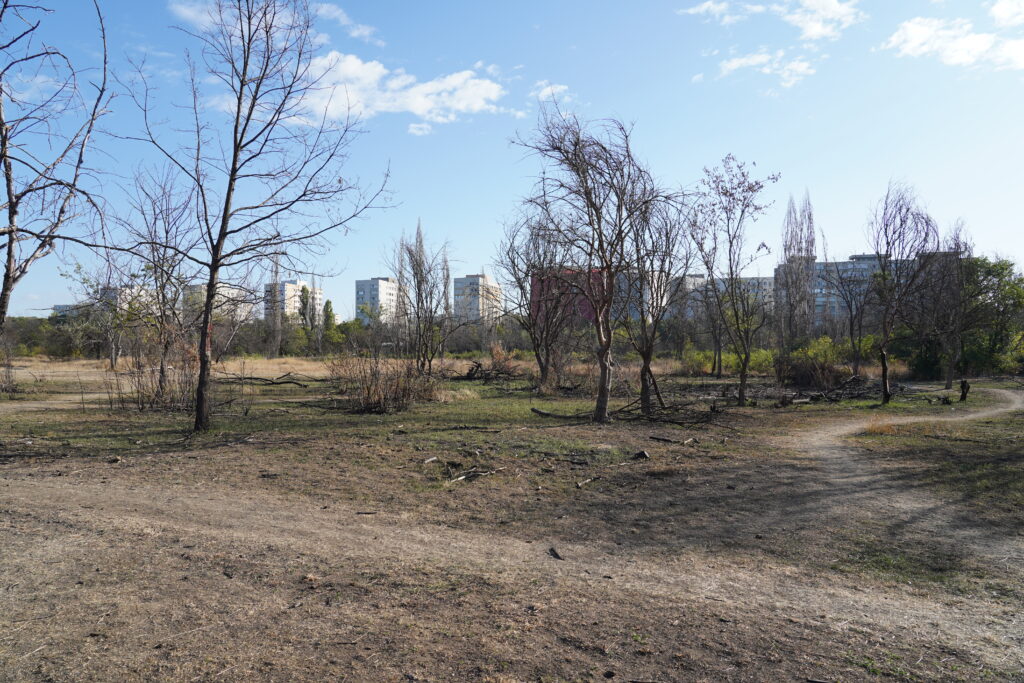 Proprietarul zonei defrișate din parcul IOR a fost amendat cu 35 de milioane de euro