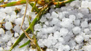 Prognoza meteo ANM, 23 octombrie. Vremea întoarce foaia. Vin ninsorile
