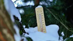 Când începe să ningă în România? Primii fulgi de nea în București. Prognoza meteo de iarnă