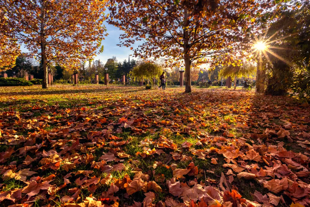 parcul herastrau