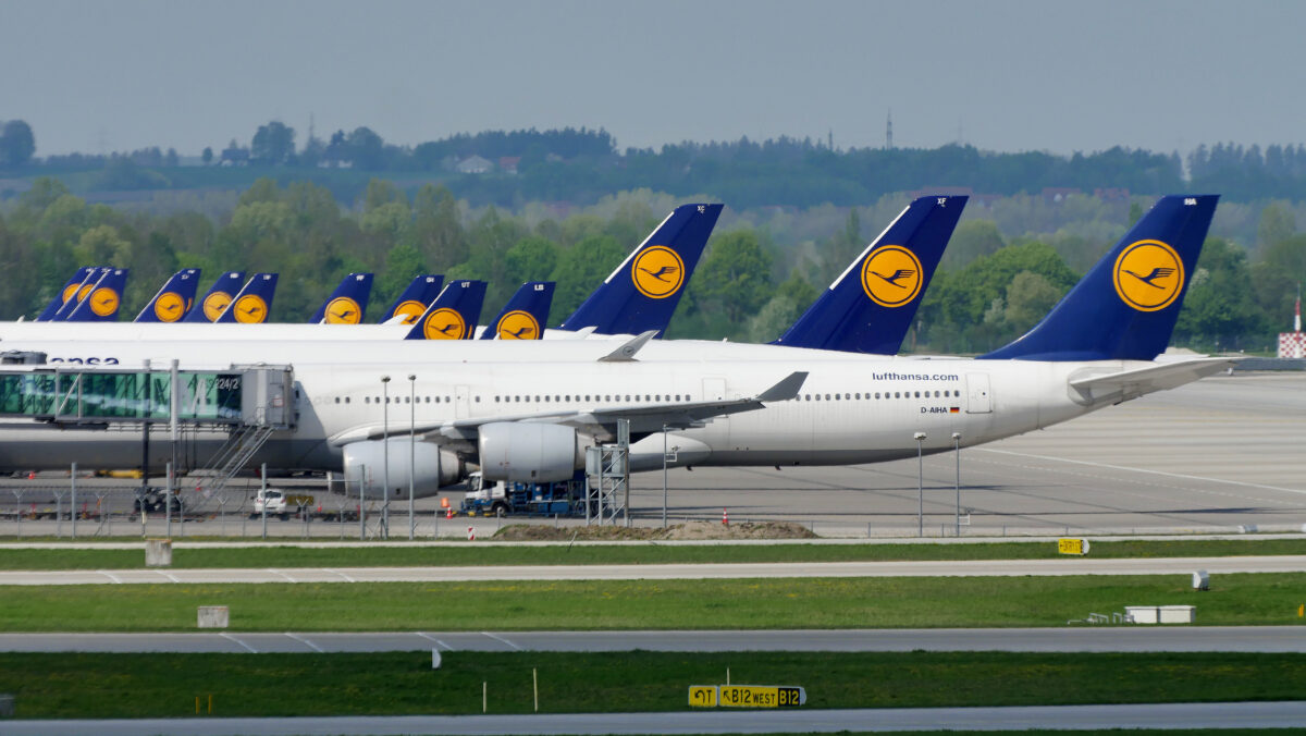 Acțiunile Lufthansa au crescut. Prețurile mari ale biletelor au sporit veniturile companiei