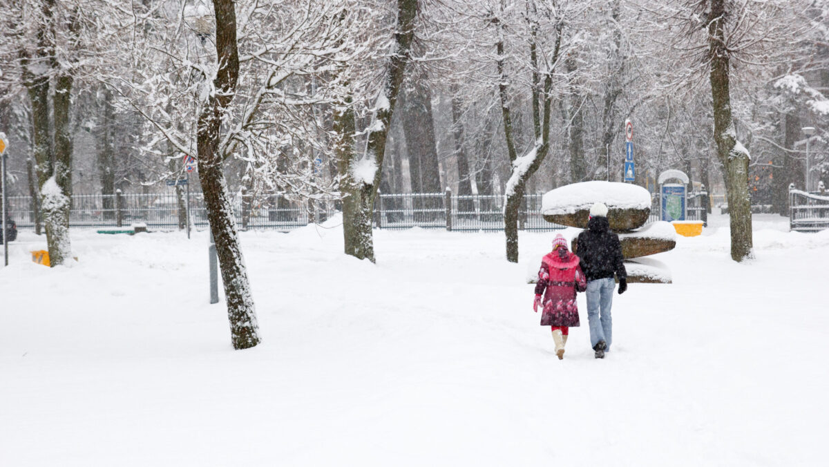 ninsoare ninsori zapada vremea meteo iarna
