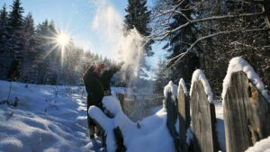 ninsori zapada vremea meteo
