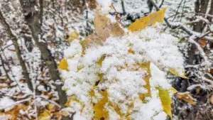 Prognoza meteo ANM. Vremea se răcește radical. Unde va ninge de Sf. Mihail și Gavril