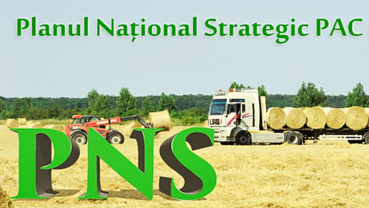 Comisia Europeană a aprobat României modificarea Planului Strategic pentru Politica Agricolă Comună