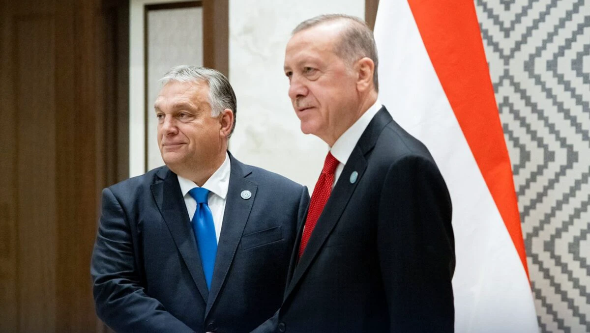 Culisele summitului NATO. Ce urmăresc Turcia și Ungaria