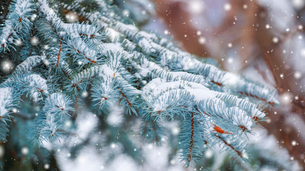 Sărbători albe în România? Cum va fi vremea de Crăciun? Prognoza meteo ANM
