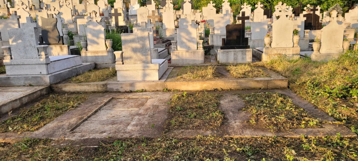 Se mută mormintele. Decizie în instanţă la Cluj pentru sute de morminte din Cimitirul Mănăștur
