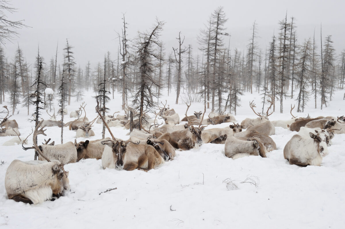 Satul Oymyakon din estul Siberiei 2