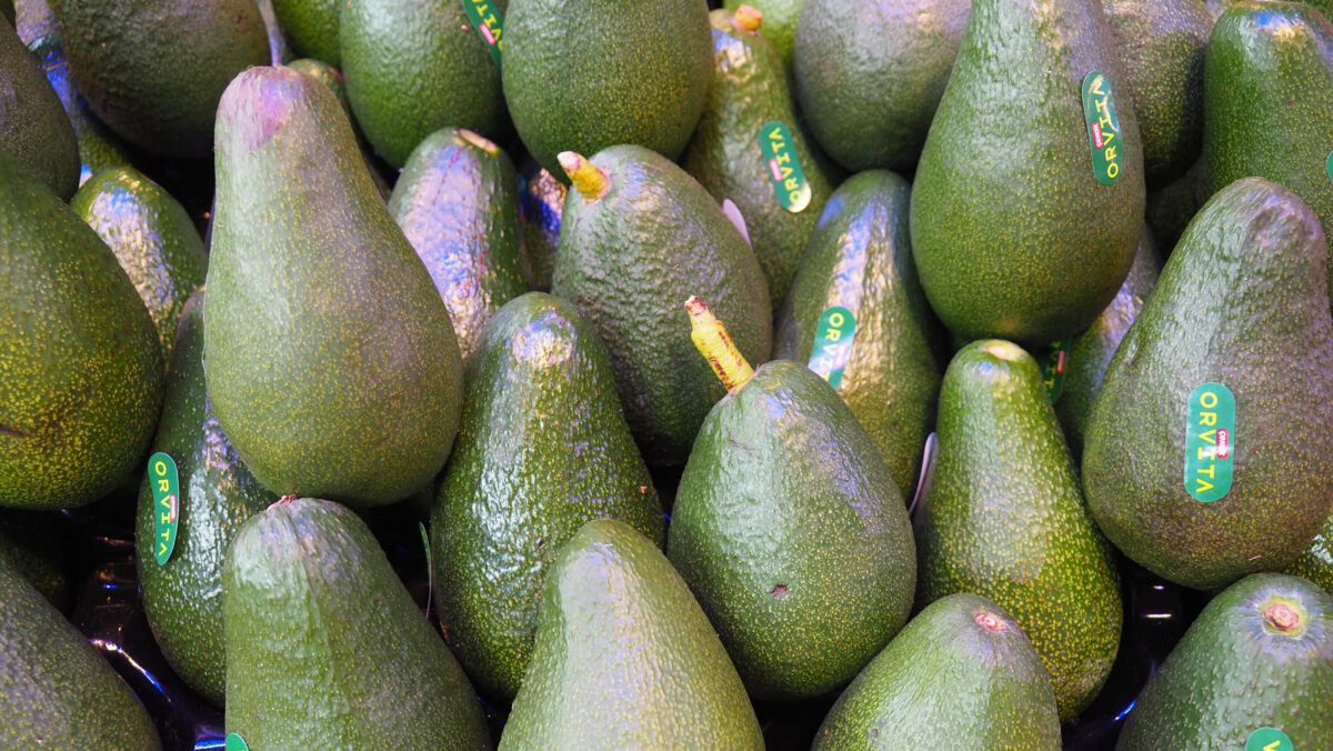 Cum poți crește avocado la tine acasă. Regula pentru a planta corect pomii de avocado