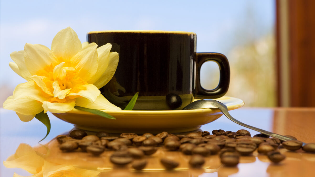 Ingredientul care transformă cafeaua în medicament. Adaugă-l neapărat în fiecare ceașcă