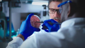 carne de vită crescută în laborator