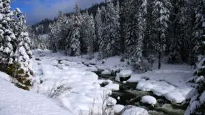 Când vine primăvara? Prognoza meteo pentru următoarele două săptămâni