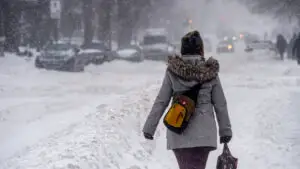 Ciclonul polar va lovi România! ANM a spus exact când vine gerul