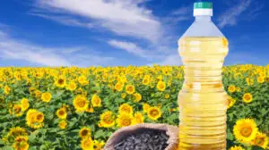 Adevărul despre cel mai folosit ulei din România, uleiul de floarea-soarelui. Cât de periculos este pentru prăjit