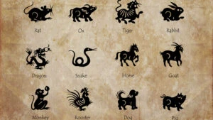 zodiac chinezesc