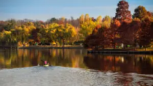 Lacul Herăstrău este golit parțial pentru lucrări tehnice de reabilitare. PMB anunță că impactul asupra biodiversității este redus