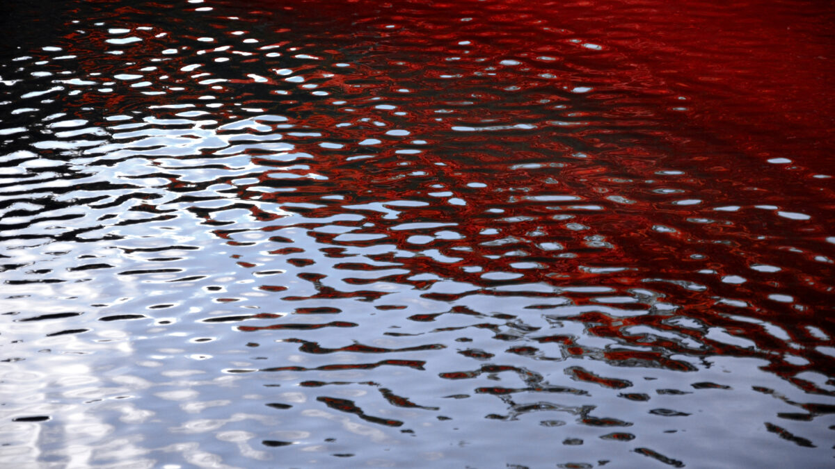 Fenomen rar. Marea Neagră a devenit „Marea Roșie”. De ce s-a înroșit apa (VIDEO)