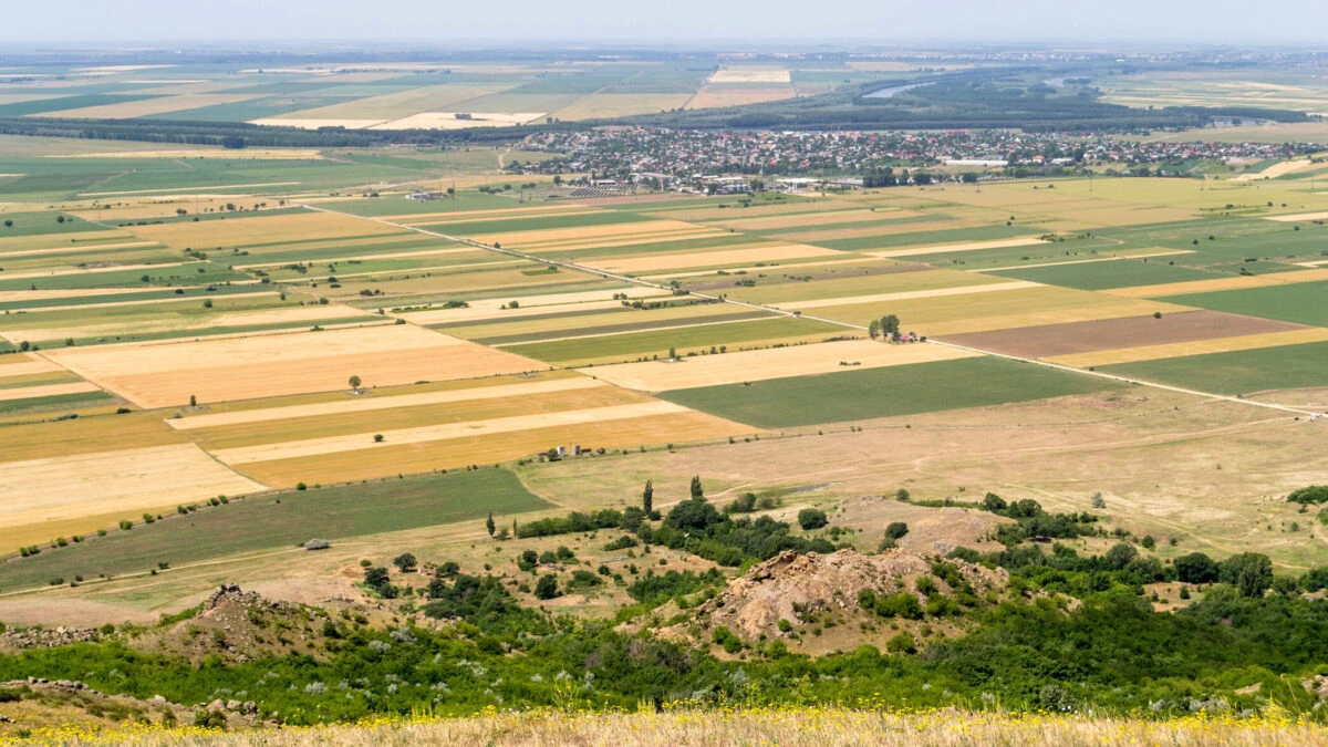Lege pentru proprietarii de terenuri din România. Decizia va fi obligatorie