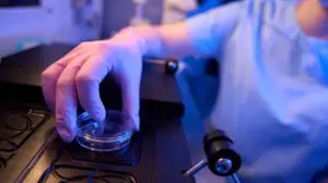 Bani pentru fertilizarea in vitro în 2026. Florin Manole: N-o luați ca promisiune, dar vreau să dublăm numărul beneficiarilor