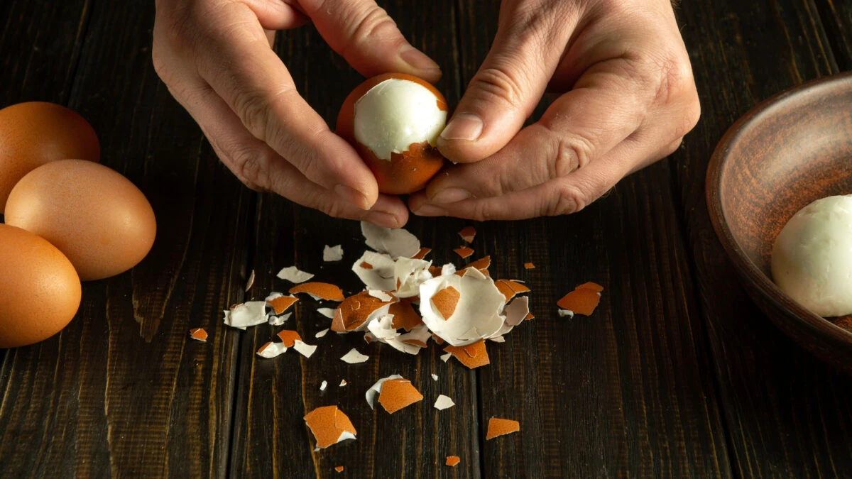 Care sunt cele mai bune ouă pentru consum? Ce înseamnă codul de pe ouăle din supermarket