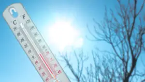 Vine primăvara în România! Vor fi 20 de grade în următoarele zile