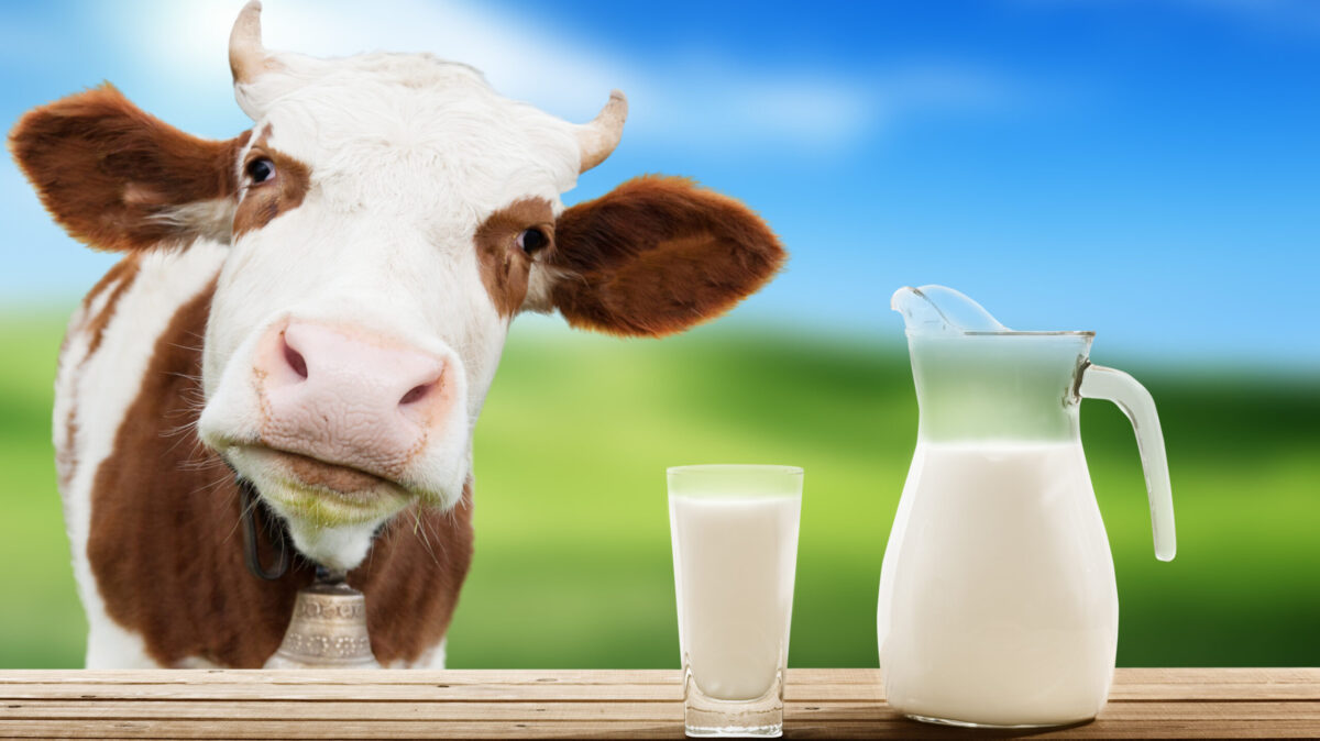 Cât costă un litru de lapte la poarta fermei și cu ce preț ajunge la raft