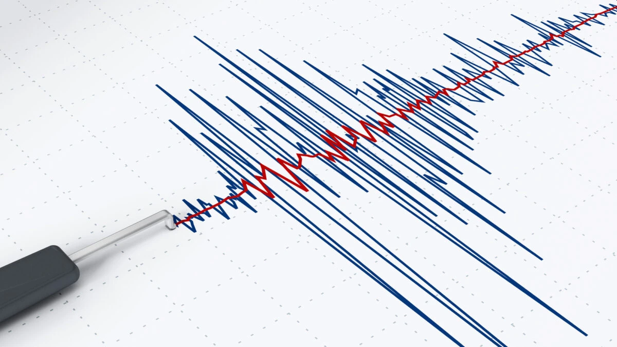 Zona Vrancea e imprevizibilă. Ce spune un reputat seismolog despre cutremurul de luni