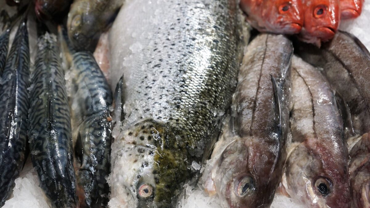 Ce s-a găsit în peștele congelat. O fetiță de 4 ani a murit după ce a mâncat macrou